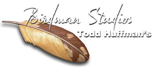 Birdman Studios Logo
