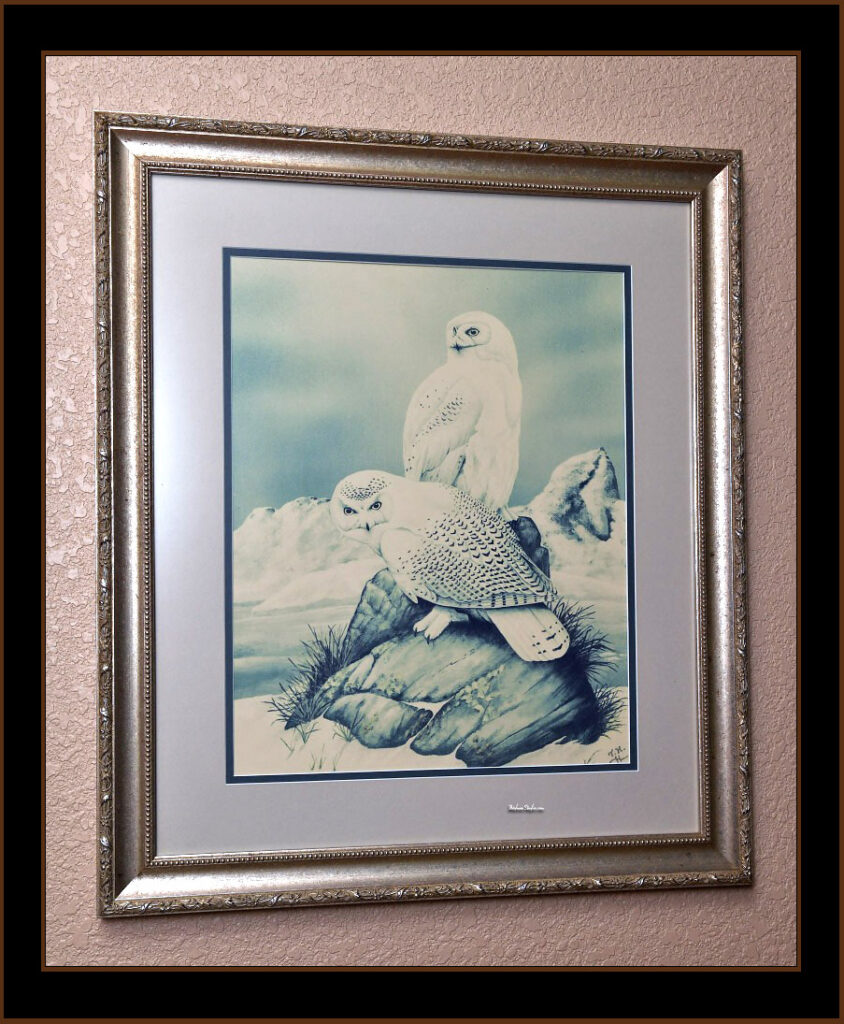 Snowy Owl Painting by Todd Huffman Age 16